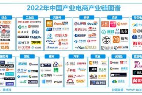 垂直电商平台是什么意思（互联网垂直电商平台是什么意思）