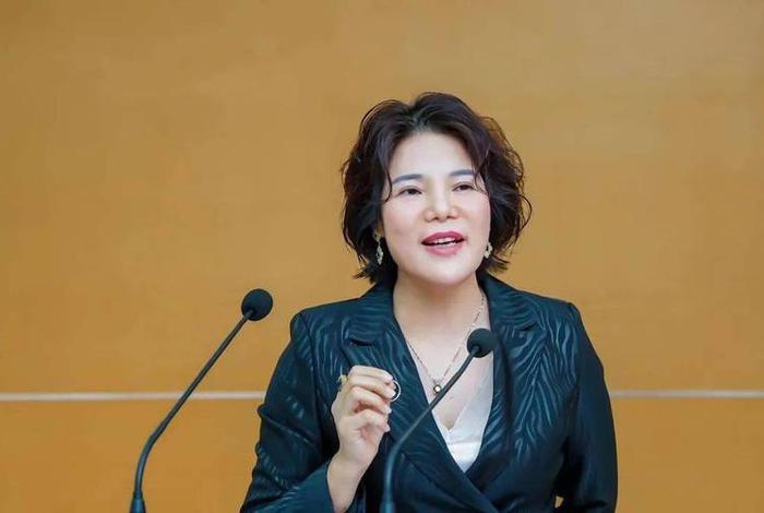 深圳跨境电商协会会长王馨 - 深圳跨境电商协会会长王馨简介