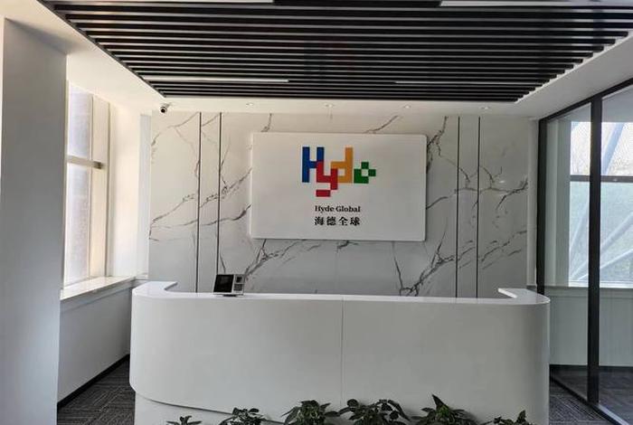 南京电商公司前十名，南京电商公司前十名排名