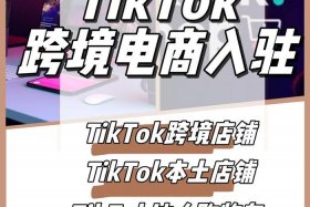 tiktok跨境电商招人，tiktok跨境电商招商