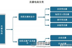 县域电商发展常见的六种模式（县域电商发展常见的六种模式是）