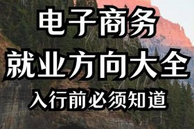 什么电子商务（什么电子商务模式是未来电子商务发展的主流）