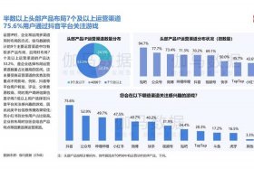 游戏电商发展现状、电子游戏行业的发展状况