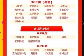 进口跨境电商代表企业 - 进口跨境电商代表企业名单