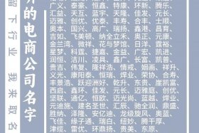 电商取名最牛六个字（电商取名最牛六个字的名字）