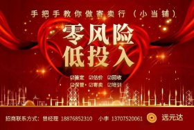 加盟电商平台；加盟电商平台赚钱吗