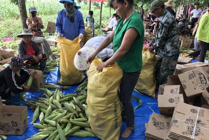 海南电商协会会长 海南电商协会会长张铁冰简介 海南电商协会会长 海南电商协会会长张铁冰简介