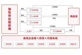 电商代销模式，电商代销模式优缺点