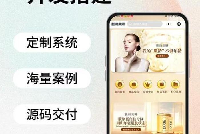 电商开发定制；电商平台定制开发