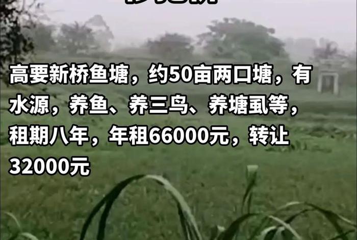电商鱼塘怎么养;电商养鱼塘是什么意思 电商鱼塘怎么养;电商养鱼塘是什么意思