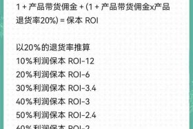 电商ROI调整策略（电商roi调整策略）