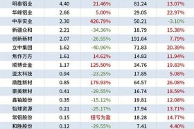 商电铝业现况（商电铝业现况如何）