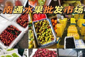 桃子电商售卖渠道；桃子电商售卖渠道有哪些