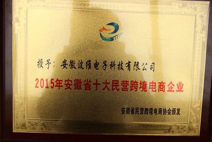 安徽电商公司 - 安徽电商公司哪家强 安徽电商公司 - 安徽电商公司哪家强