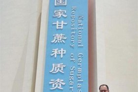 云南电商协会，云南电商协会会长是谁啊