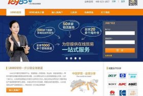 十大外贸电商平台大龙网 - 十大外贸电商平台大龙网是什么