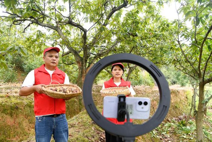 电商农业是做什么的（电商农业是做什么的工作）