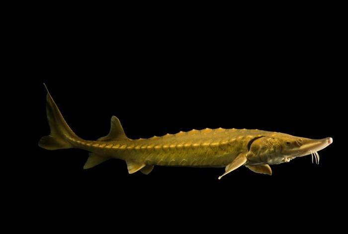 杭州巨鱼电商可靠吗,杭州巨鱼电商可靠吗知乎 杭州巨鱼电商可靠吗,杭州巨鱼电商可靠吗知乎