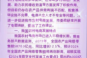 广东电商发展报告；广东省农村电商发展报告