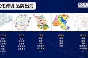 深圳跨境电商贸易监管 - 深圳跨境电商贸易监管办法