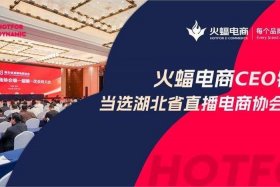 武汉火蝠电商怎么样 武汉火蝠电商怎么样可靠吗