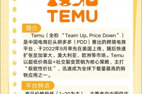 temu跨境电商能做吗；netsuite 跨境电商