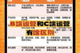 电商c端平台啥意思，电商a端b端c端是什么意思