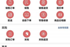 电商erp进销存软件是什么，电商erp进销存软件是什么意思