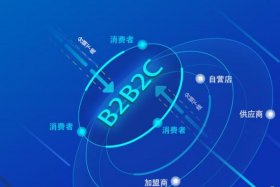 b2C电商企业（b2c电子商务企业）