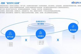 电商产品竞争力是什么意思 - 电商竞争的本质和竞争的目的最终是什么