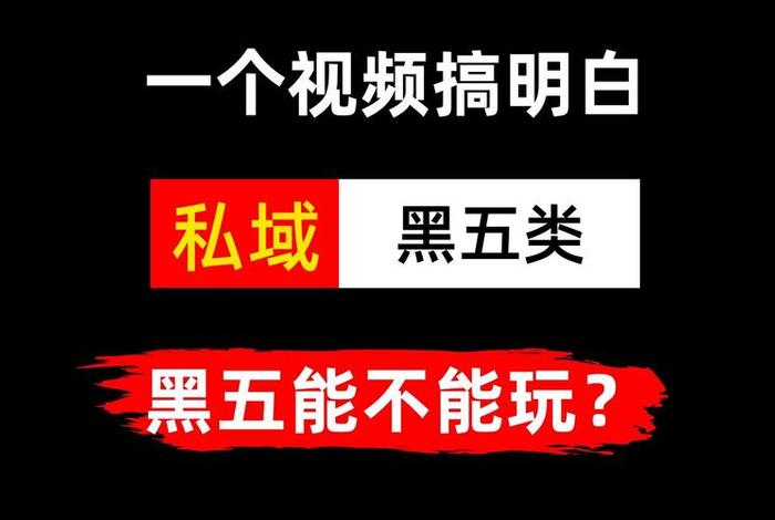 黑五类电商能做吗(电商黑五类产品违法吗) 黑五类电商能做吗(电商黑五类产品违法吗)