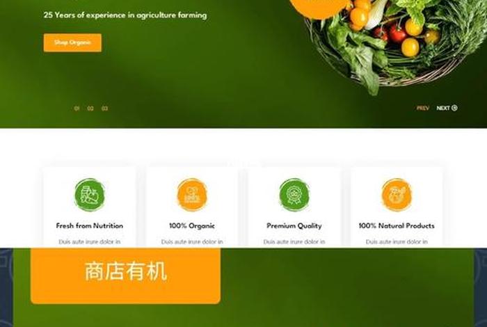 电商网站制作模板 - 电商网站制作模板怎么写