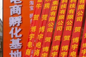 电商孵化公司靠谱吗（电商孵化公司主要是干什么的）