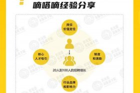 浙江跨境电商运营；浙江跨境电商运营招聘