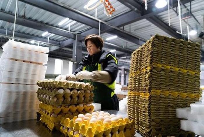 电商配送员是干什么的 电商配送员是干什么的工作 电商配送员是干什么的 电商配送员是干什么的工作