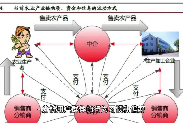农业电商平台发展战略 农业电商平台发展战略规划