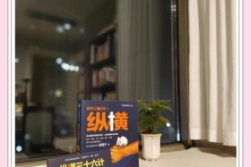 纵横电商怎么样挣钱的（纵横电商怎么样挣钱的呢）