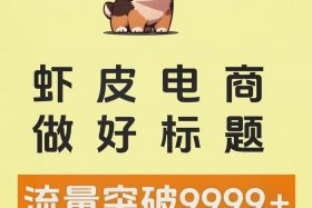 虾皮跨境电商平台骗局、虾皮跨境电商平台骗局是真的吗