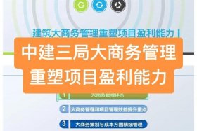 中建电商交易平台（中建电商交易平台官网）