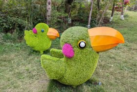 毛毛虫电商集团，毛毛虫电商集团 销售规模