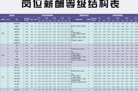 一般电商运营工资多少、一般电商运营工资多少钱