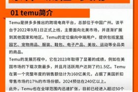 temu跨境电商入驻详细教程 - temu跨境电商官网入口