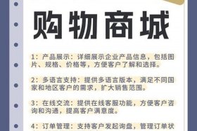 开境外电商网店需要什么条件、开境外电商网店需要什么条件呢