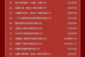 电商安徽、安徽电商企业名单