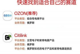 俄罗斯跨境电商平台选品做什么？、俄罗斯跨境电商平台选品做什么的