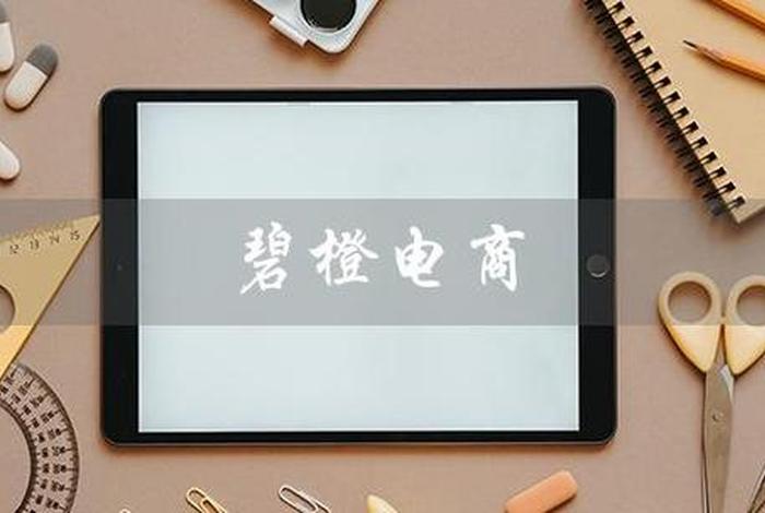 碧橙电商代理（碧橙电商怎么样）