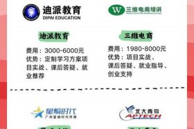 山东电商运营在线培训 - 山东电商运营在线培训机构