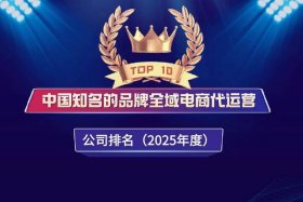 中国最大实力最好电商运营平台 中国最大的电商运营公司