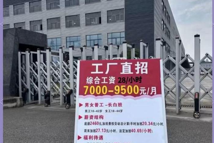 东莞电商招聘(东莞电商招聘网入口官网) 东莞电商招聘(东莞电商招聘网入口官网)