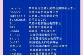 东南亚跨境电商平台、东南亚跨境电商平台是真的吗